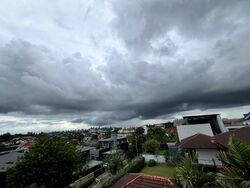 Raffles Park (D11), Detached #453038791